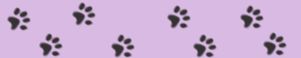 Paw Prints on Purple Background